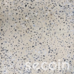 Terrazzo ID-30 Trắng kem